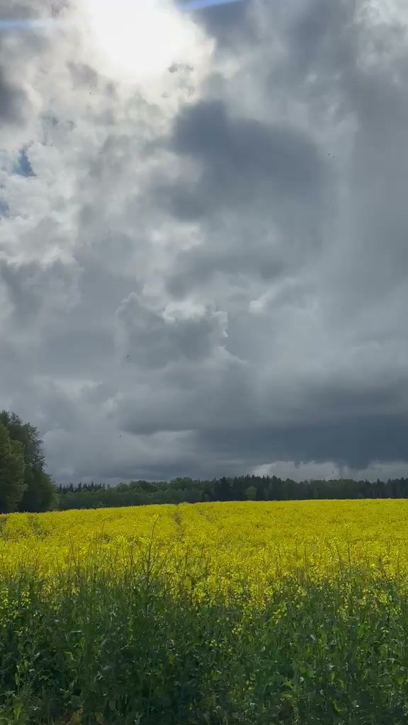 Video z areálu kempu