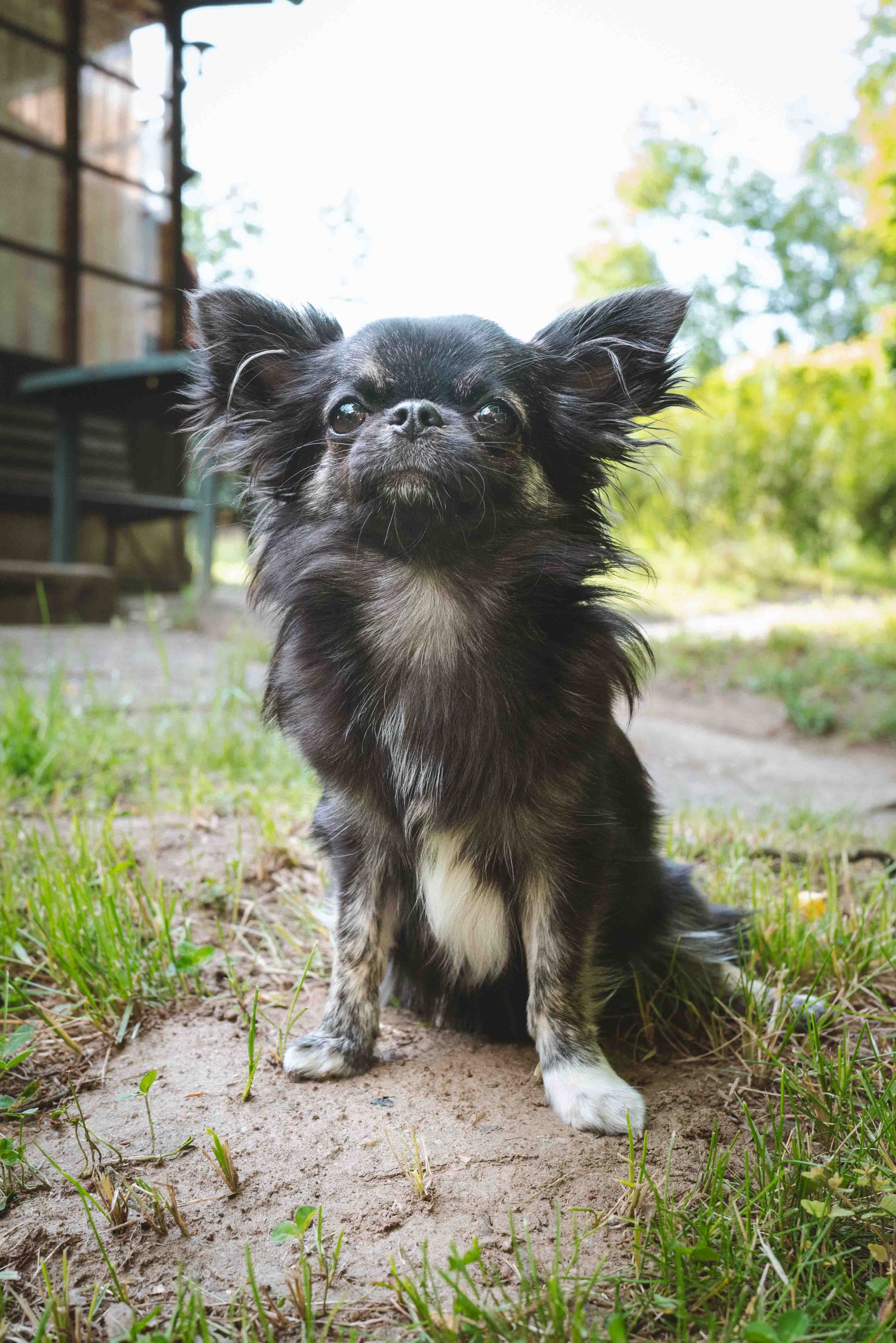 Okolí – místo v přírodě